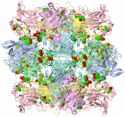 Image Biological Unit 1