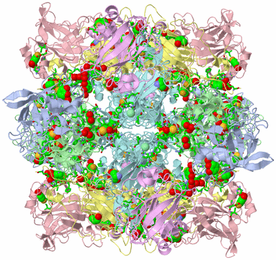 Image Biol. Unit 1 - sites