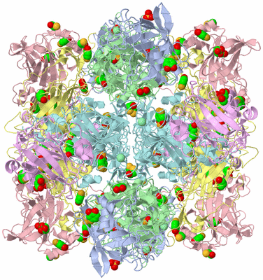 Image Biological Unit 1