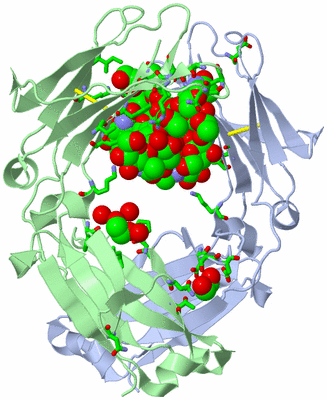 Image Asym./Biol. Unit - sites