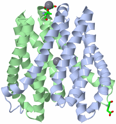 Image Asym./Biol. Unit - sites