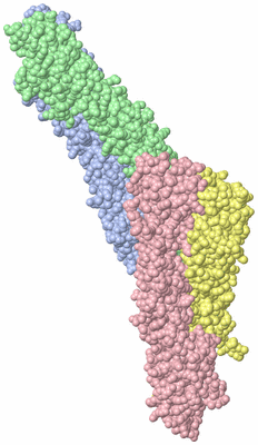 Image Asymmetric Unit