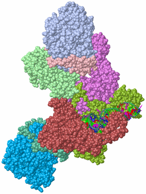 Image Biological Unit 1