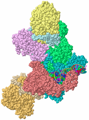 Image Biological Unit 2