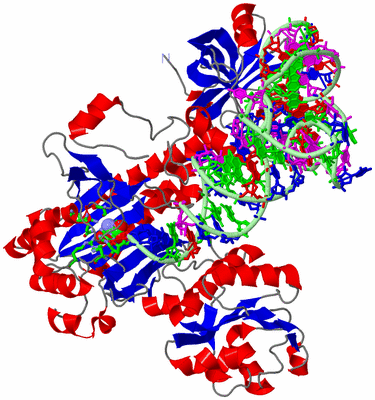 Image Asym. Unit - sites