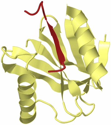 Image Biological Unit 4