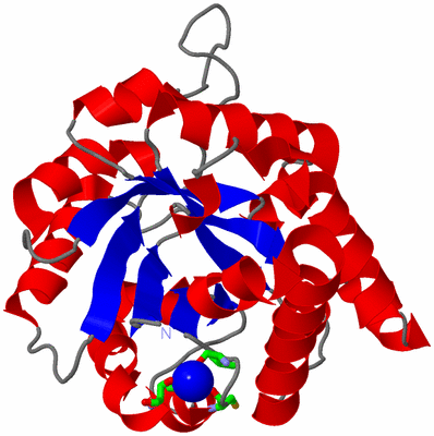 Image Asym. Unit - sites