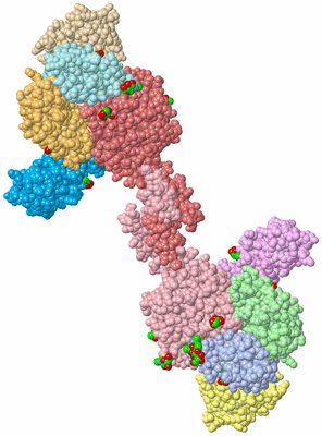 Image Biological Unit 1