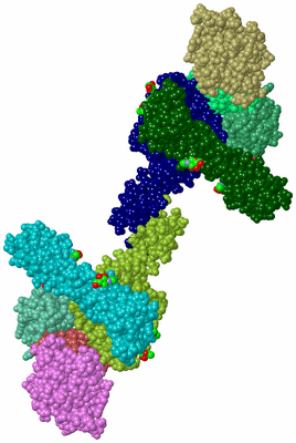 Image Biological Unit 2