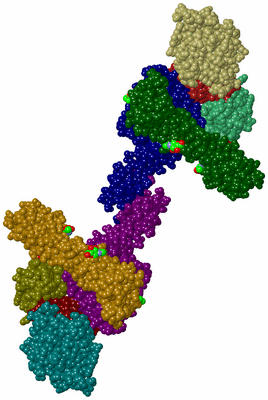 Image Biological Unit 3