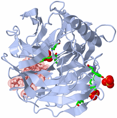 Image Biol. Unit 1 - sites