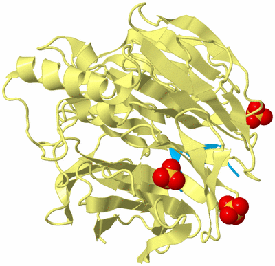 Image Biological Unit 4