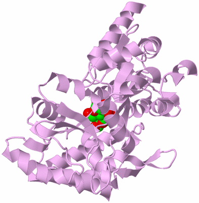 Image Biological Unit 5