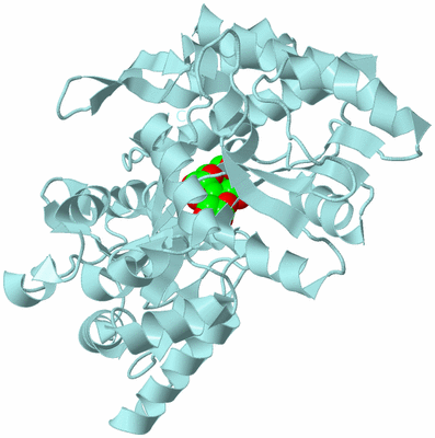 Image Biological Unit 6