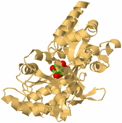 Image Biological Unit 7