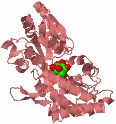 Image Biological Unit 8