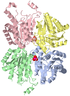 Image Asym./Biol. Unit