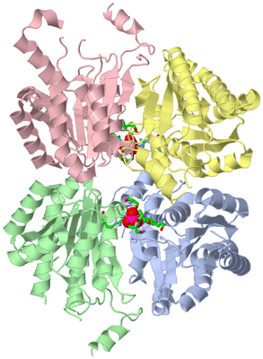 Image Asym./Biol. Unit - sites