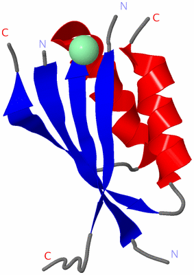 Image Asymmetric Unit