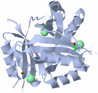 Image Biol. Unit 1 - sites