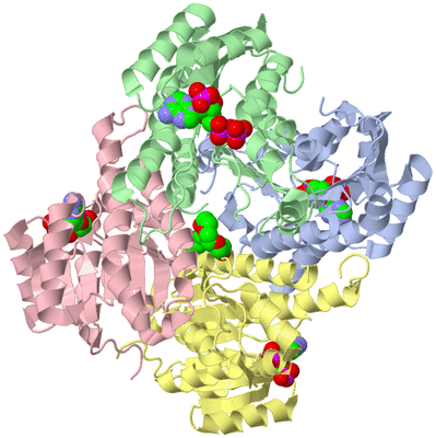 Image Asym./Biol. Unit