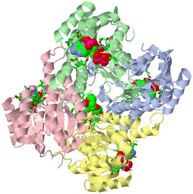 Image Asym./Biol. Unit - sites