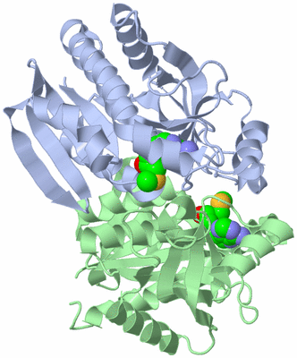 Image Asym./Biol. Unit