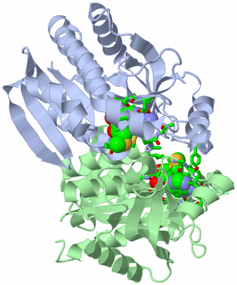 Image Asym./Biol. Unit - sites