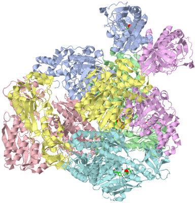 Image Asym./Biol. Unit - sites