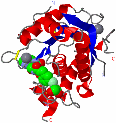 Image Asym./Biol. Unit