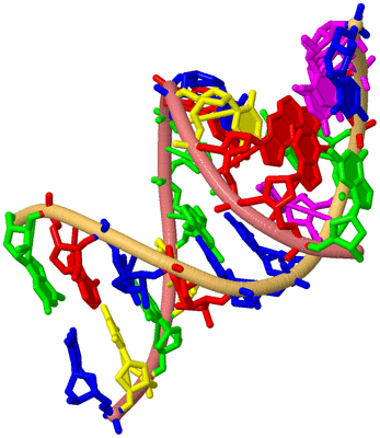 Image Biological Unit 4