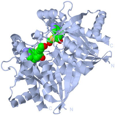 Image Biological Unit 1