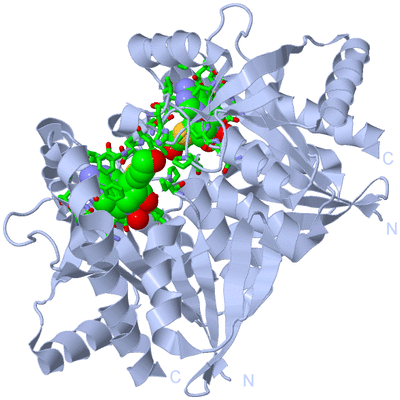 Image Biol. Unit 1 - sites