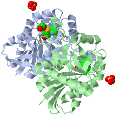 Image Biological Unit 1