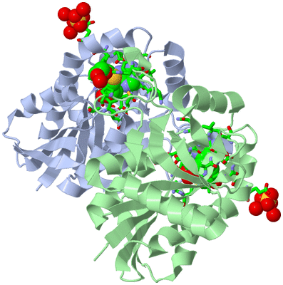 Image Biol. Unit 1 - sites