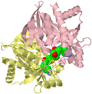 Image Biological Unit 2