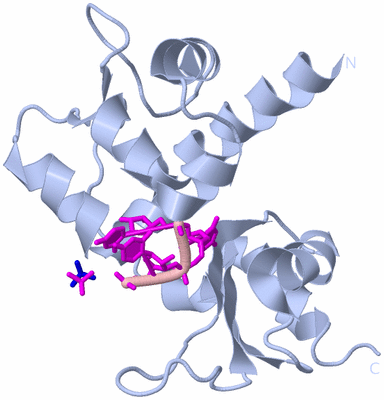 Image Biological Unit 1