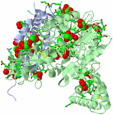 Image Asym./Biol. Unit - sites