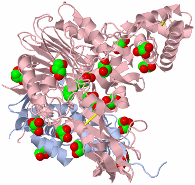 Image Asym./Biol. Unit