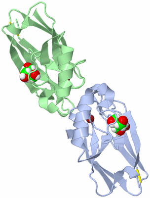 Image Biological Unit 3