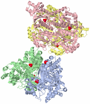 Image Asym./Biol. Unit