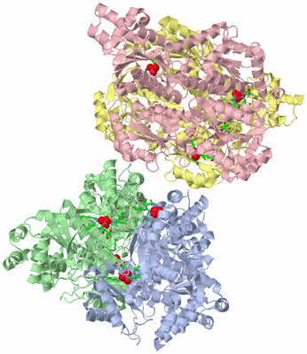 Image Asym./Biol. Unit - sites