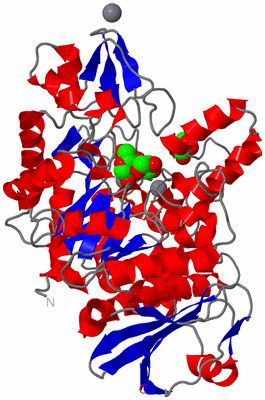 Image Asym./Biol. Unit