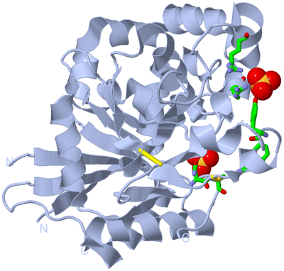 Image Biol. Unit 1 - sites