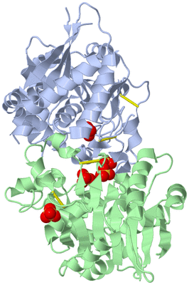 Image Biological Unit 3