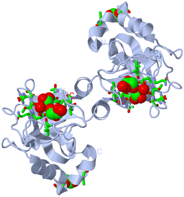 Image Biol. Unit 1 - sites