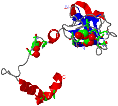 Image Asym. Unit - sites