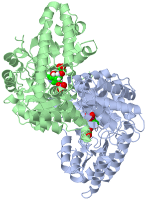 Image Asym./Biol. Unit