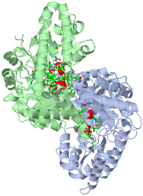 Image Asym./Biol. Unit - sites