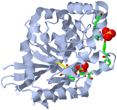 Image Biol. Unit 1 - sites